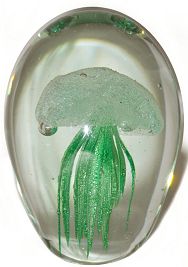 Green Glass Jellyfish