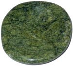 Reptile Jasper Worry Stone